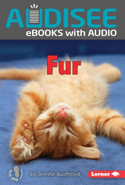 Cover of the book Fur by Jennifer Boothroyd, Lerner Publishing Group