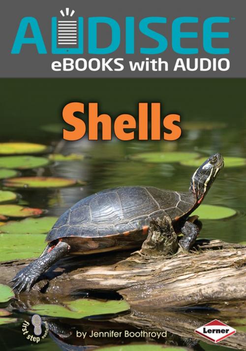 Cover of the book Shells by Jennifer Boothroyd, Lerner Publishing Group