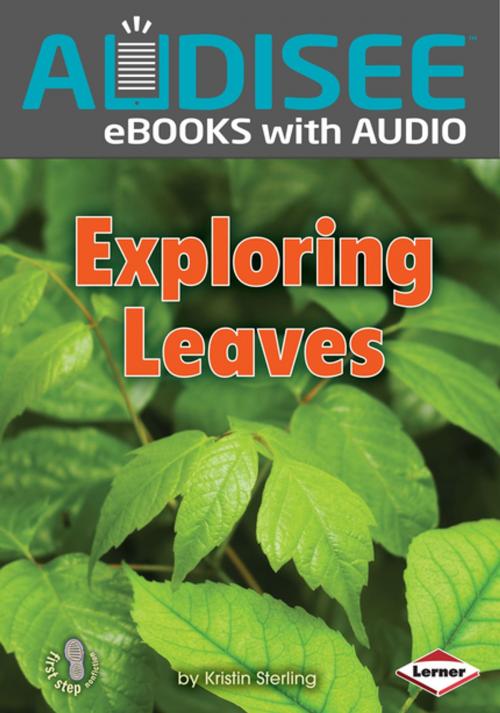 Cover of the book Exploring Leaves by Kristin Sterling, Lerner Publishing Group