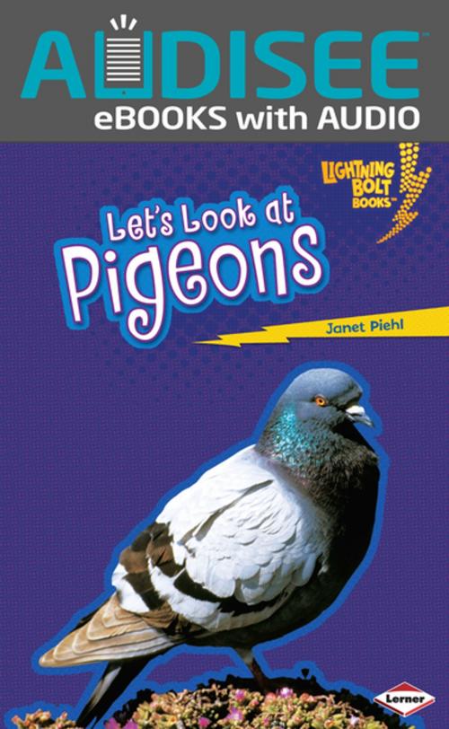 Cover of the book Let's Look at Pigeons by Janet Piehl, Lerner Publishing Group