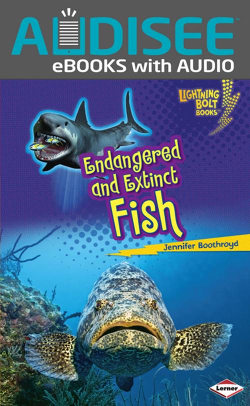 Cover of the book Endangered and Extinct Fish by Jennifer Boothroyd, Lerner Publishing Group
