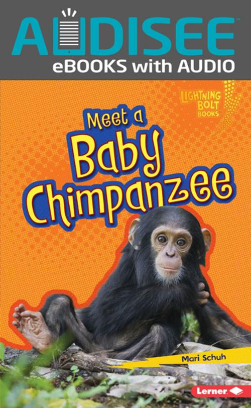 Cover of the book Meet a Baby Chimpanzee by Mari Schuh, Lerner Publishing Group