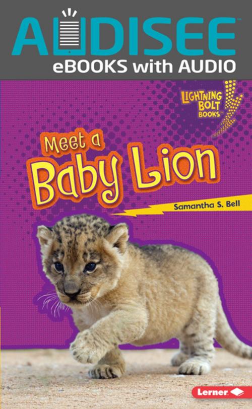 Cover of the book Meet a Baby Lion by Samantha S. Bell, Lerner Publishing Group