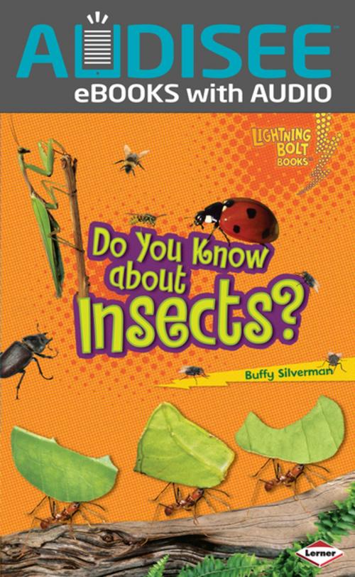 Cover of the book Do You Know about Insects? by Buffy Silverman, Lerner Publishing Group