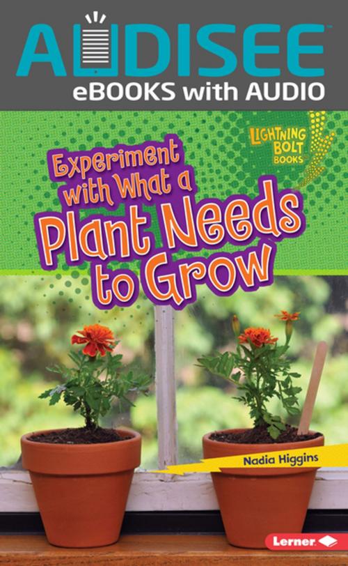 Cover of the book Experiment with What a Plant Needs to Grow by Nadia Higgins, Lerner Publishing Group