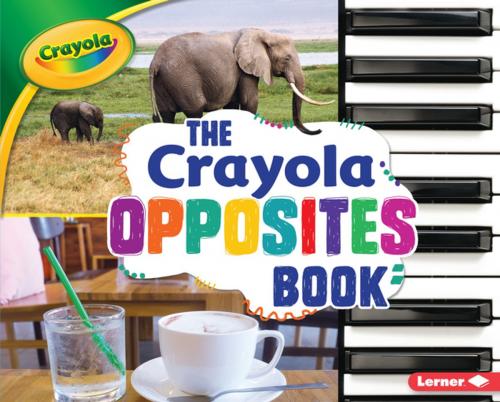 Cover of the book The Crayola ® Opposites Book by Jodie Shepherd, Lerner Publishing Group