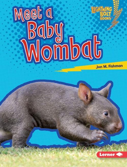 Cover of the book Meet a Baby Wombat by Jon M. Fishman, Lerner Publishing Group