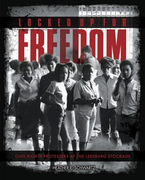 Cover of the book Locked Up for Freedom by Heather E. Schwartz, Lerner Publishing Group