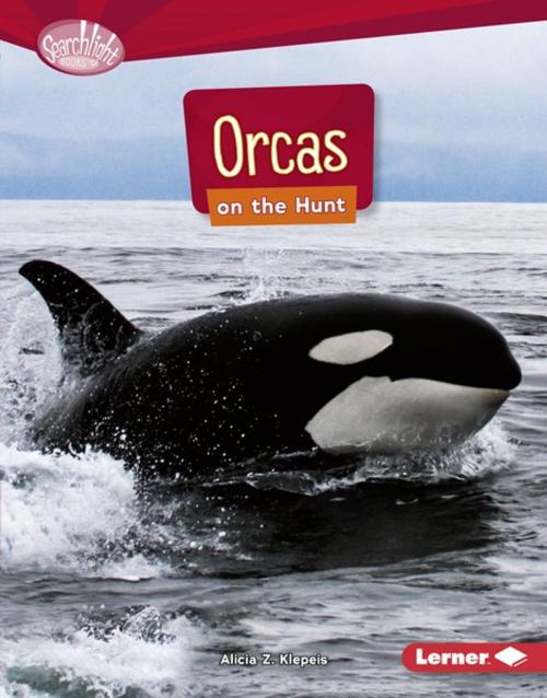 Cover of the book Orcas on the Hunt by Alicia Z. Klepeis, Lerner Publishing Group