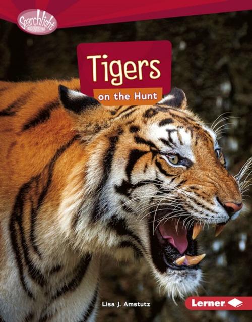 Cover of the book Tigers on the Hunt by Lisa J. Amstutz, Lerner Publishing Group