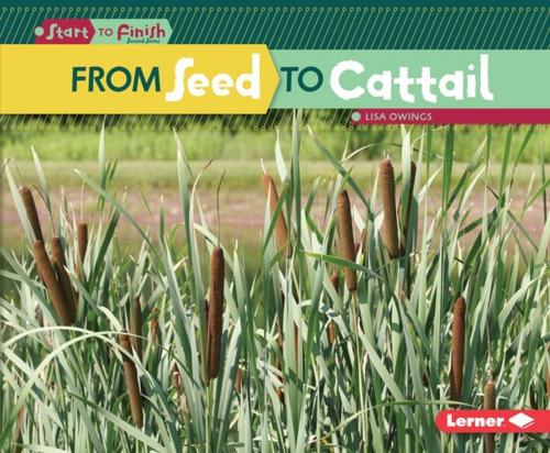 Cover of the book From Seed to Cattail by Lisa Owings, Lerner Publishing Group