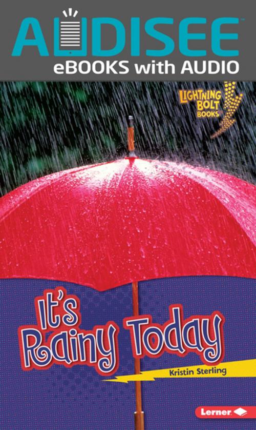 Cover of the book It's Rainy Today by Kristin Sterling, Lerner Publishing Group
