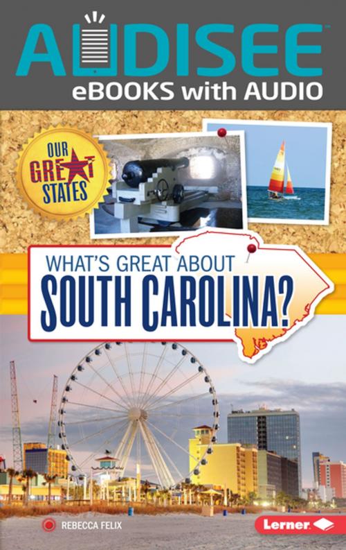 Cover of the book What's Great about South Carolina? by Rebecca Felix, Lerner Publishing Group
