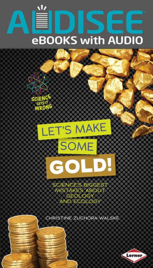 Cover of the book Let's Make Some Gold! by Christine Zuchora-Walske, Lerner Publishing Group