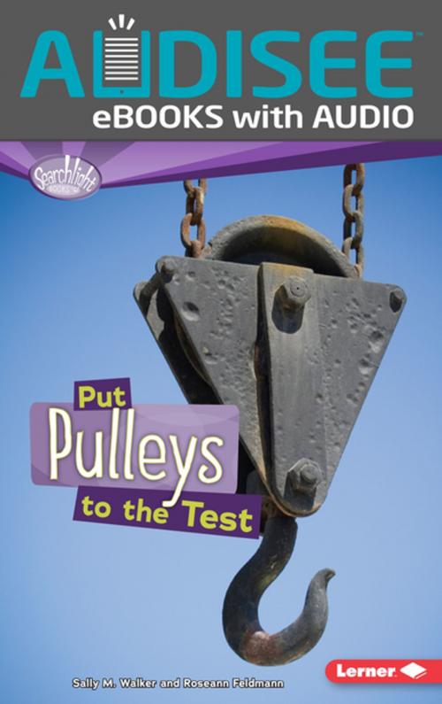 Cover of the book Put Pulleys to the Test by Roseann Feldmann, Sally M. Walker, Lerner Publishing Group