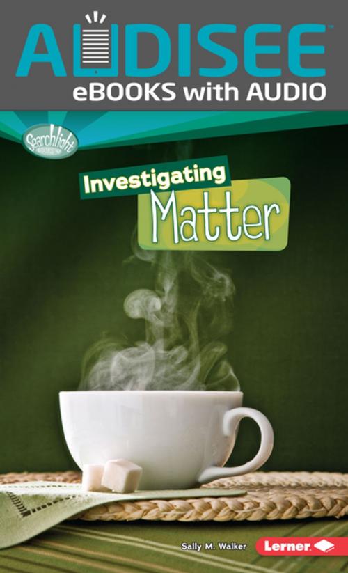 Cover of the book Investigating Matter by Sally M. Walker, Lerner Publishing Group