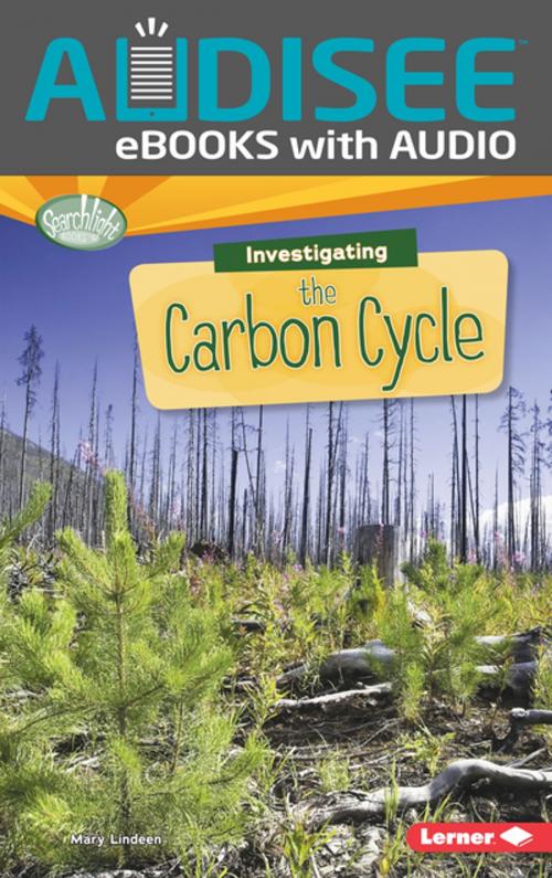 Cover of the book Investigating the Carbon Cycle by Mary Lindeen, Lerner Publishing Group
