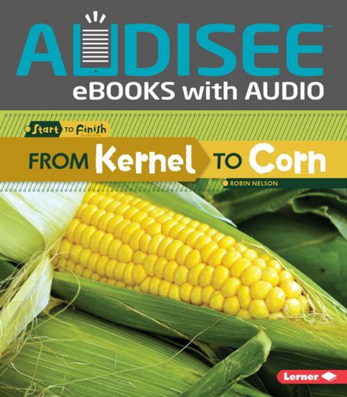 Cover of the book From Kernel to Corn by Robin Nelson, Lerner Publishing Group