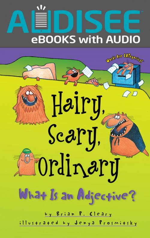 Cover of the book Hairy, Scary, Ordinary by Brian P. Cleary, Lerner Publishing Group