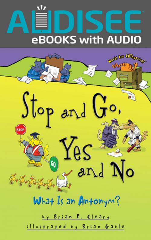 Cover of the book Stop and Go, Yes and No by Brian P. Cleary, Lerner Publishing Group