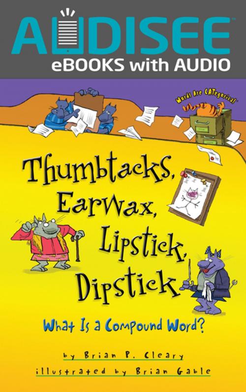 Cover of the book Thumbtacks, Earwax, Lipstick, Dipstick by Brian P. Cleary, Lerner Publishing Group