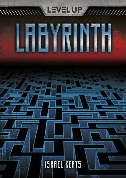 Cover of the book Labyrinth by Israel Keats, Lerner Publishing Group