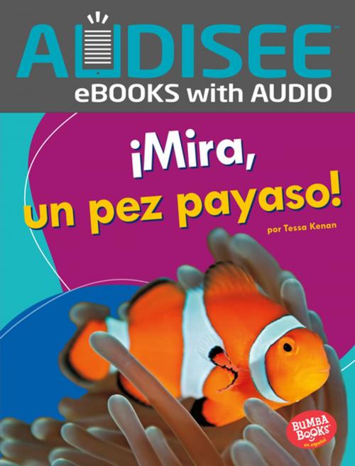 Cover of the book ¡Mira, un pez payaso! (Look, a Clown Fish!) by Tessa Kenan, Lerner Publishing Group