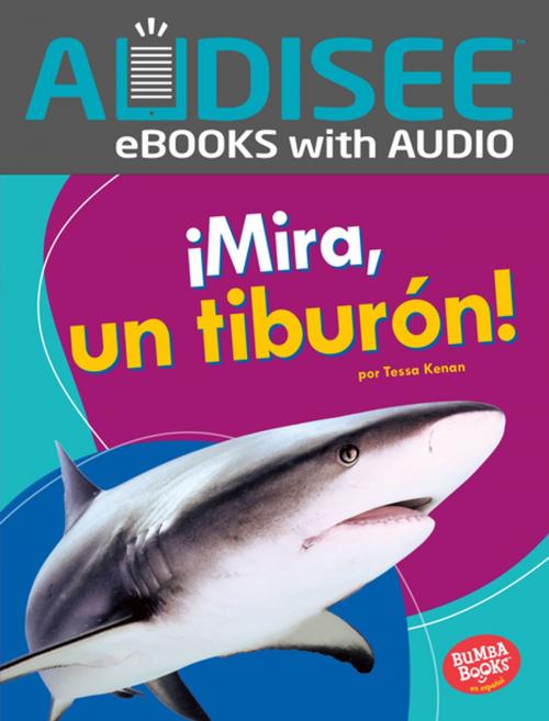 Cover of the book ¡Mira, un tiburón! (Look, a Shark!) by Tessa Kenan, Lerner Publishing Group