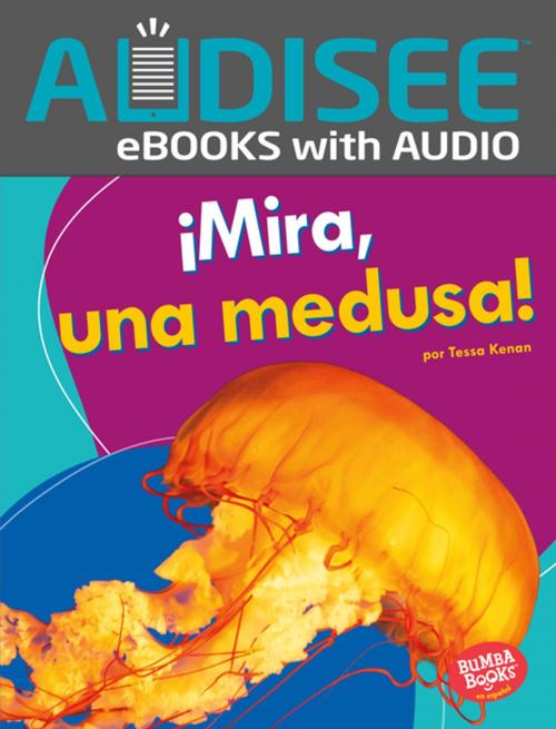 Cover of the book ¡Mira, una medusa! (Look, a Jellyfish!) by Tessa Kenan, Lerner Publishing Group