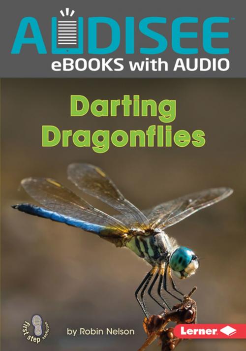 Cover of the book Darting Dragonflies by Robin Nelson, Lerner Publishing Group