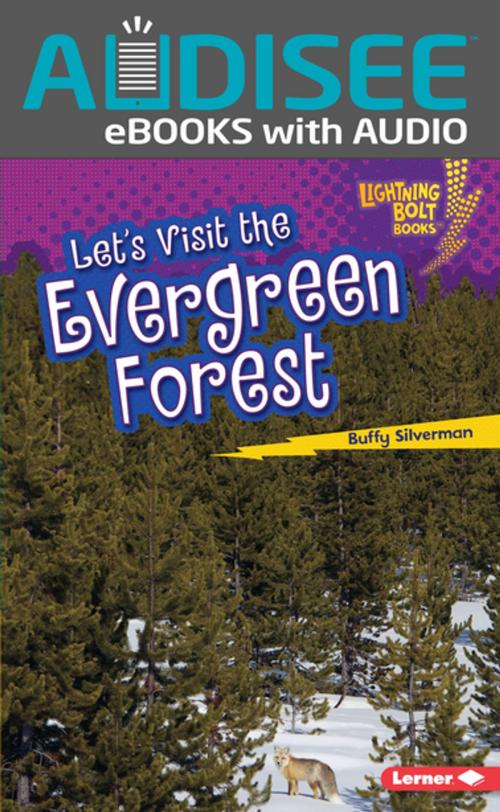 Cover of the book Let's Visit the Evergreen Forest by Buffy Silverman, Lerner Publishing Group