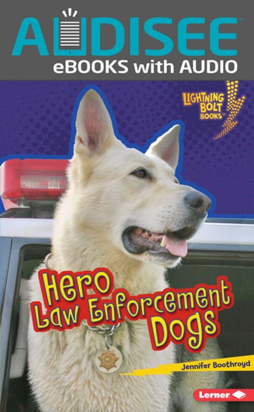 Cover of the book Hero Law Enforcement Dogs by Jennifer Boothroyd, Lerner Publishing Group
