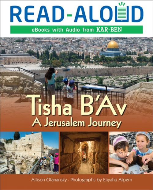 Cover of the book Tisha B'Av by Allison Maile Ofanansky, Lerner Publishing Group