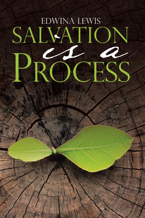 Cover of the book Salvation Is a Process by Edwina Lewis, WestBow Press