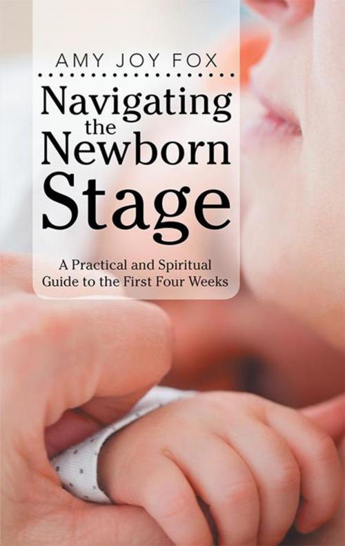 Cover of the book Navigating the Newborn Stage by Amy Joy Fox, WestBow Press