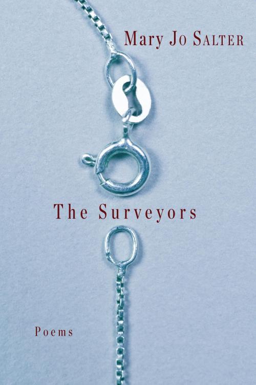 Cover of the book The Surveyors by Mary Jo Salter, Knopf Doubleday Publishing Group