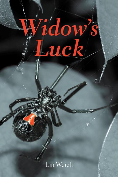 Cover of the book Widow's Luck by Lin Weich, FriesenPress