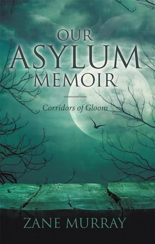 Cover of the book Our Asylum Memoir by Zane Murray, iUniverse