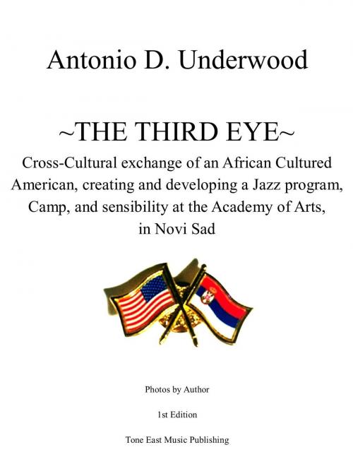Cover of the book The Third Eye by Antonio D. Underwood, Tone East Music LLC