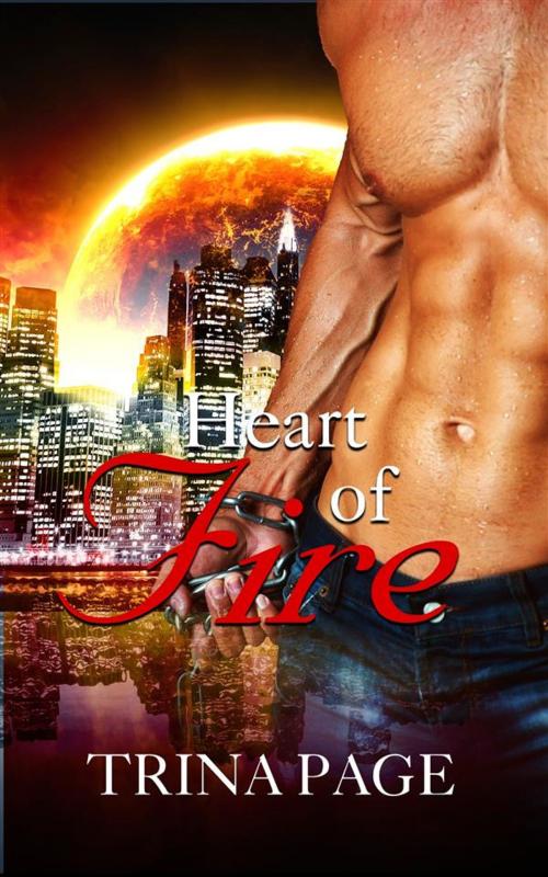 Cover of the book First Meeting: Heart of Fire Book 1 (Shifter Romance) by Trina Page, Trina Page