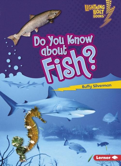 Cover of the book Do You Know about Fish? by Buffy Silverman, Lerner Publishing Group