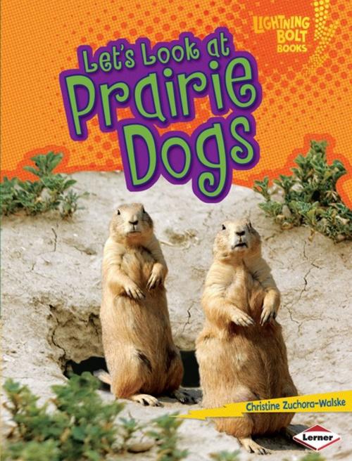 Cover of the book Let's Look at Prairie Dogs by Christine Zuchora-Walske, Lerner Publishing Group