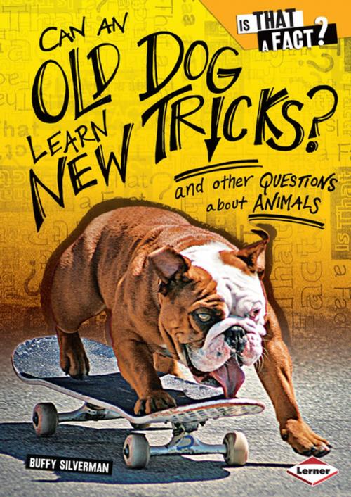 Cover of the book Can an Old Dog Learn New Tricks? by Buffy Silverman, Lerner Publishing Group