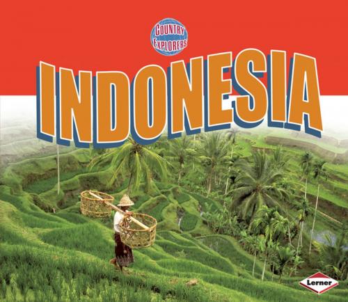 Cover of the book Indonesia by Robin Lim, Lerner Publishing Group