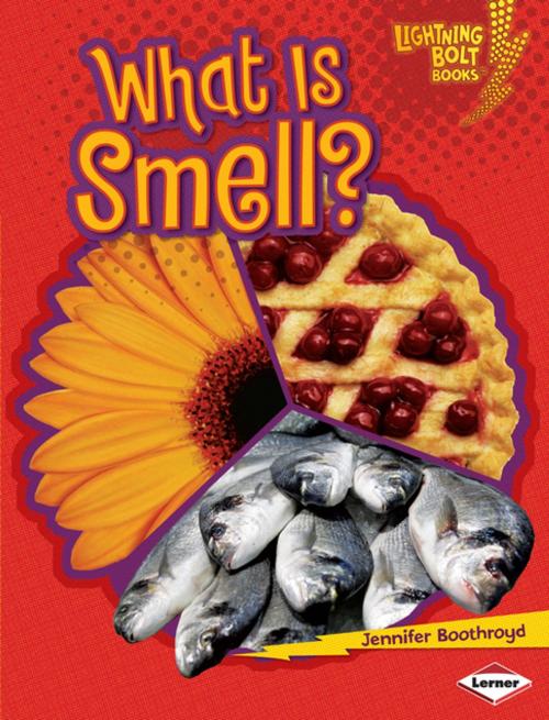 Cover of the book What Is Smell? by Jennifer Boothroyd, Lerner Publishing Group