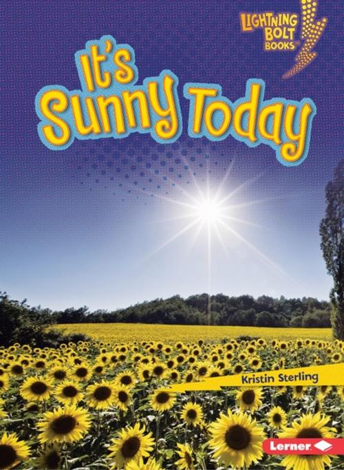 Cover of the book It's Sunny Today by Kristin Sterling, Lerner Publishing Group