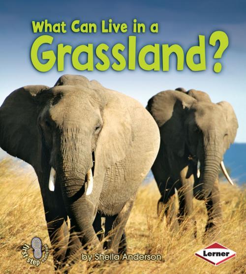 Cover of the book What Can Live in a Grassland? by Sheila Anderson, Lerner Publishing Group