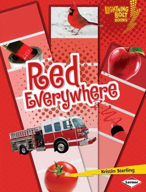 Cover of the book Red Everywhere by Kristin Sterling, Lerner Publishing Group