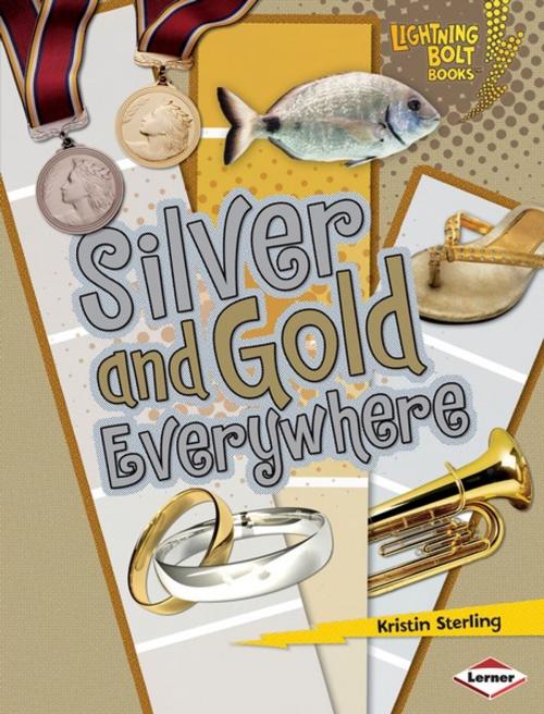 Cover of the book Silver and Gold Everywhere by Kristin Sterling, Lerner Publishing Group