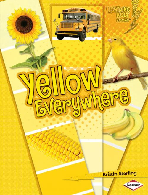 Cover of the book Yellow Everywhere by Kristin Sterling, Lerner Publishing Group